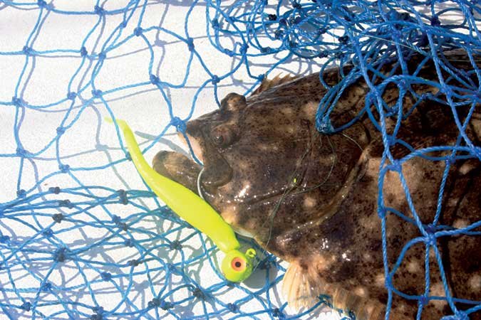 Founder and Lure in Net