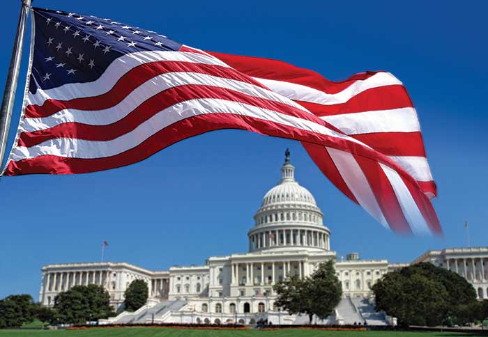US Capitol and American Flag