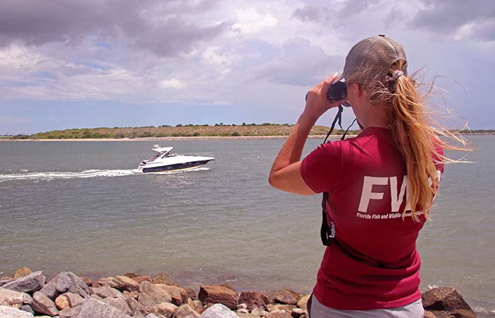 Florida snapper survey
