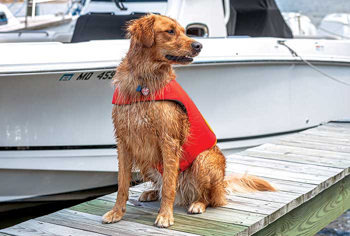 Finn models the Ruffwear Float Coat